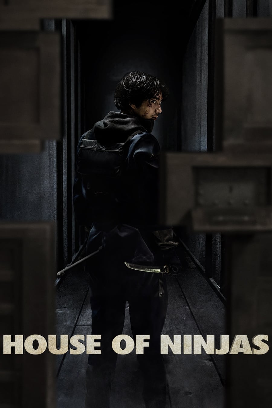 House of Ninjas Hindi Dubbed Movie Poster (2024)