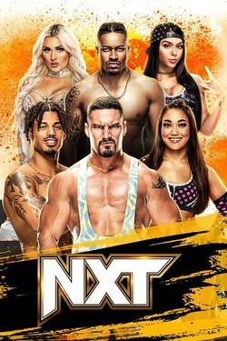 NXT Stand Hindi Dubbed Movie Poster (2026)